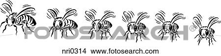 Stock Illustration - a row of bees in black and white. Fotosearch