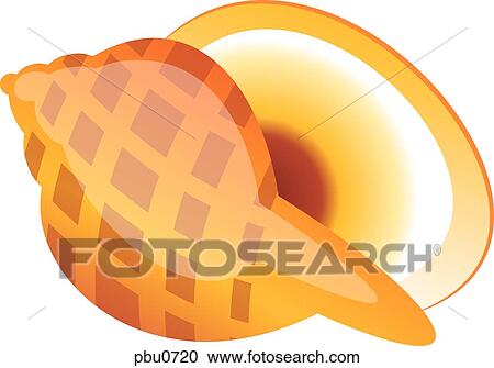 A seashell View Large Illustration Clipart - A seashell. Fotosearch