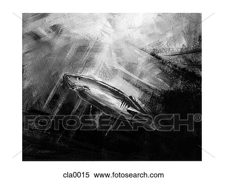 Stock Illustration - a shark swimming in water. Fotosearch