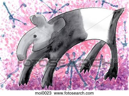 An aardvark View Large Illustration Drawing - An aardvark. Fotosearch