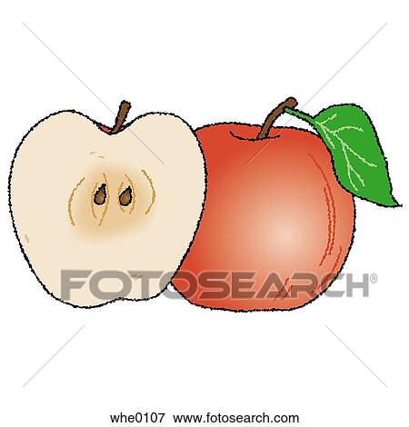 Stock Illustration - An apple and apple sliced in half. Fotosearch