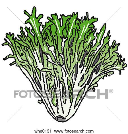 Arugula View Large Illustration Clip Art - Arugula. Fotosearch