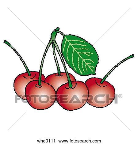 Clip Art - Five cherries. Fotosearch