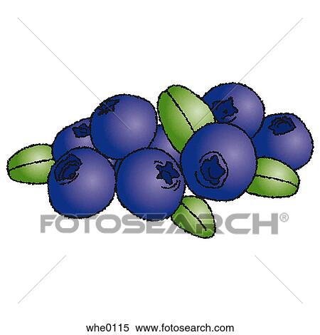 Forest Berry View Large Illustration Stock Illustration - Forest Berry. Fotosearch