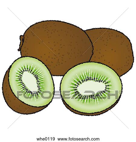 Kiwi View Large Illustration Stock Illustration - Kiwi. Fotosearch