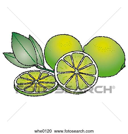 Clipart - Lime. Fotosearch