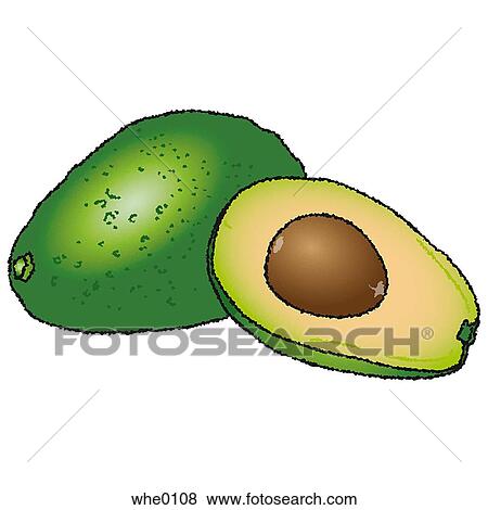 Stock Illustration - Sliced avocado. Fotosearch