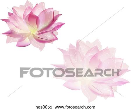 Stock Illustration - Two flowers. Fotosearch