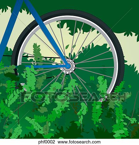 A bike's wheel near bushes View Large Illustration Drawing - A bike's wheel near bushes. Fotosearch