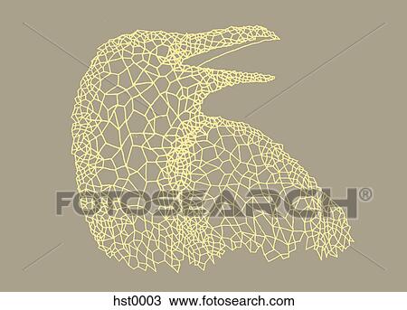 Drawing - A bird's head. Fotosearch