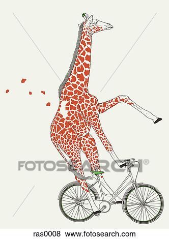 Stock Illustration - A giraffe on a bicycle. Fotosearch