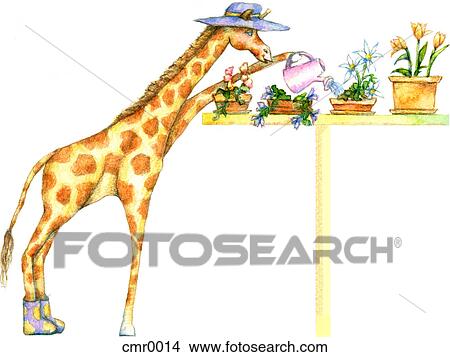 Stock Illustration - A giraffe watering plants. Fotosearch