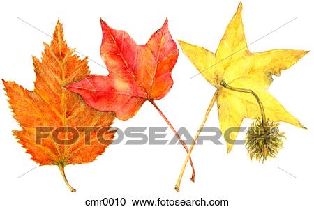 Clipart - A group of autumn leaves. Fotosearch