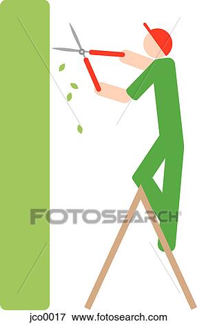 A man trimming a hedge View Large Illustration Stock Illustration - A man trimming a hedge. Fotosearch