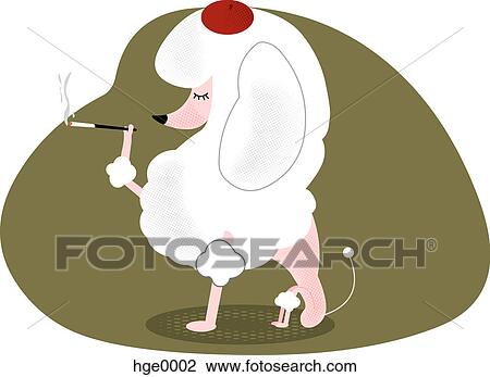 Drawing - A smoking poodle. Fotosearch