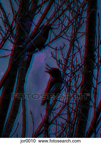 Birds perched on tree branches View Large Illustration Clipart - Birds perched on tree branches. Fotosearch