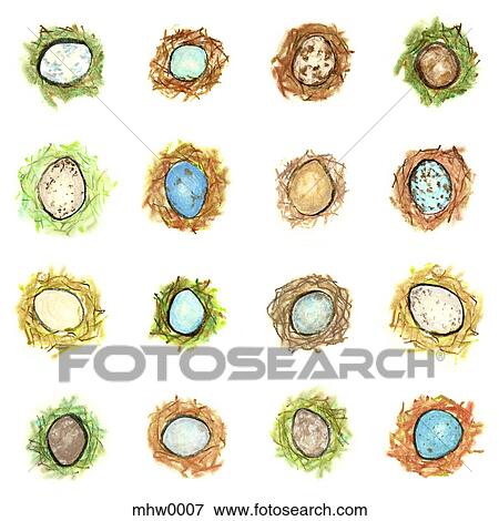 Eggs in nests View Large Illustration Stock Illustration - Eggs in nests. Fotosearch