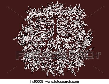 Stock Illustration - Outlines of leaves and flowers. Fotosearch