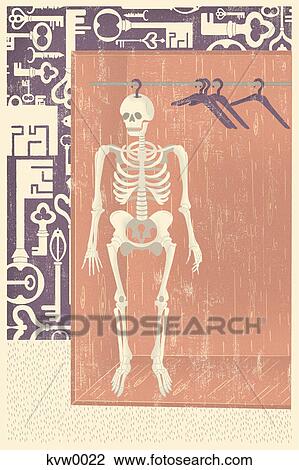 Drawing - Skeleton in the closet. Fotosearch