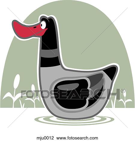 Drawing - A black headed duck. Fotosearch