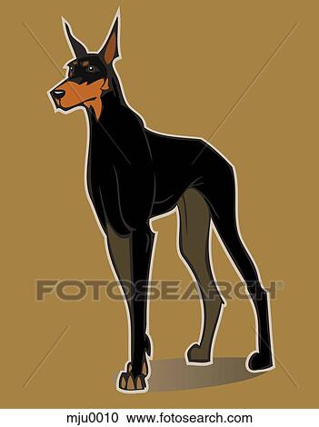 A doberman pinscher View Large Illustration Clipart - A doberman pinscher. Fotosearch