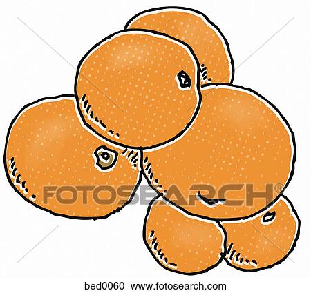 Amy's Apricot Tomato View Large Illustration Clipart - Amy's Apricot Tomato. Fotosearch