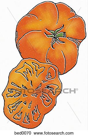Clipart - Big rainbow tomato. Fotosearch