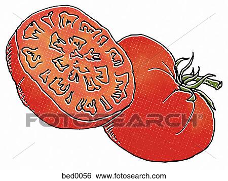 Brandywine Tomato View Large Illustration Stock Illustration - Brandywine Tomato. Fotosearch