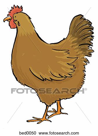 Chicken View Large Illustration Clipart - Chicken. Fotosearch