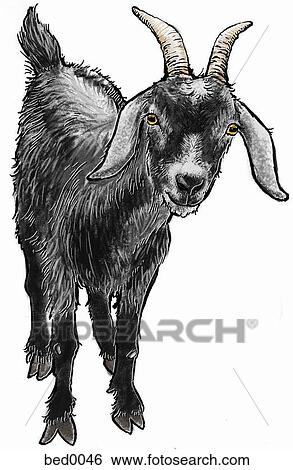 Stock Illustration - Goat. Fotosearch