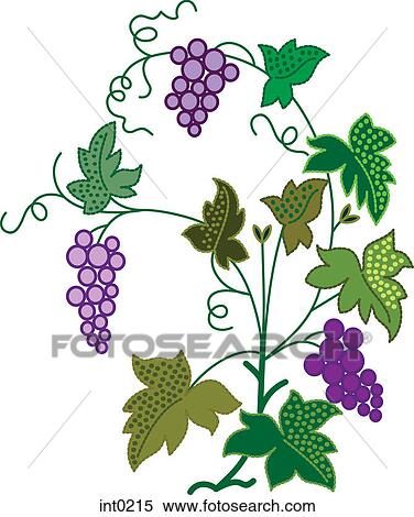 Grapes View Large Illustration Stock Illustration - Grapes. Fotosearch