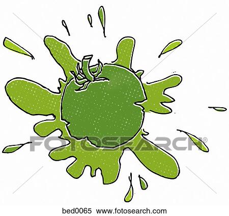 Green tomato splat View Large Illustration Stock Illustration - Green tomato splat. Fotosearch