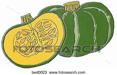 Kabocha squash Drawing | bed0023 | Fotosearch