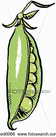 Stock Illustration - Peas in a pod. Fotosearch
