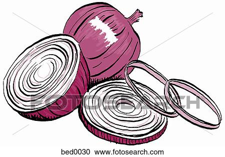 Red onion View Large Illustration Clipart - Red onion. Fotosearch