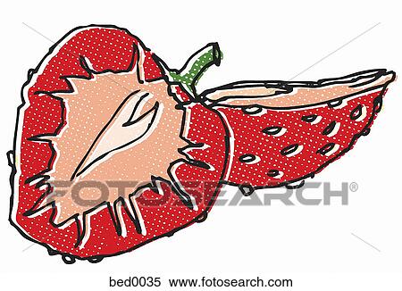 Stock Illustration - Sliced strawberry. Fotosearch