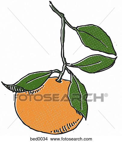 Tangerine View Large Illustration Stock Illustration - Tangerine. Fotosearch