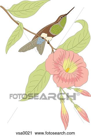 Clip Art - A bird perched on the stem of a flower. Fotosearch