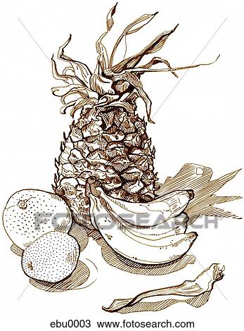 An illustration of fruit against white background View Large Illustration Drawing - An illustration of fruit against white background. Fotosearch