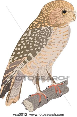 Drawing - An owl perched on a branch. Fotosearch