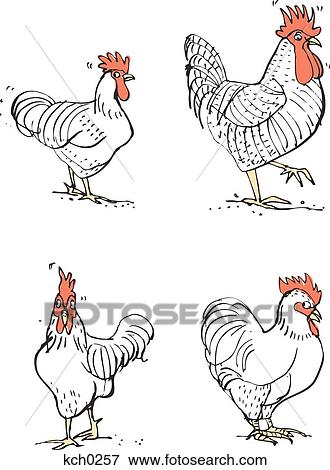 Stock Illustration - Chicken against white background. Fotosearch