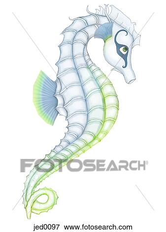 Seahorse against white background View Large Illustration Stock Illustration - Seahorse against white background. Fotosearch