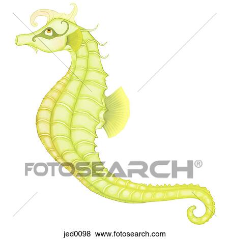 Stock Illustration - Seahorse against white background. Fotosearch