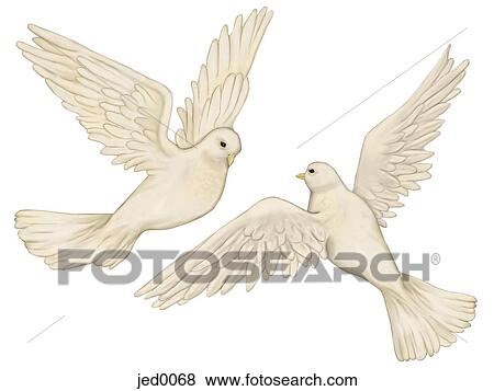 two doves View Large Illustration Stock Illustration - two doves. Fotosearch