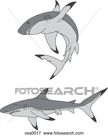Stock Illustration - Two swimming sharks. Fotosearch