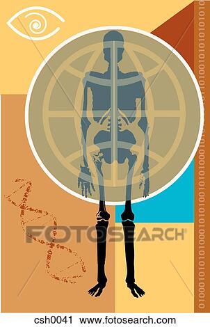 Bones View Large Illustration Clip Art - Bones. Fotosearch