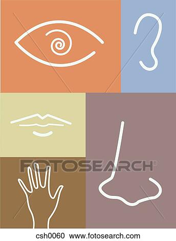 Clipart - Five Senses. Fotosearch