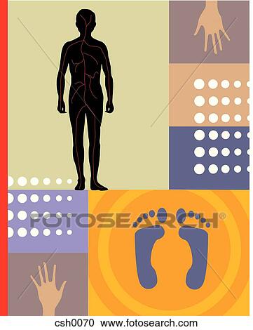 Clipart - reflexology. Fotosearch
