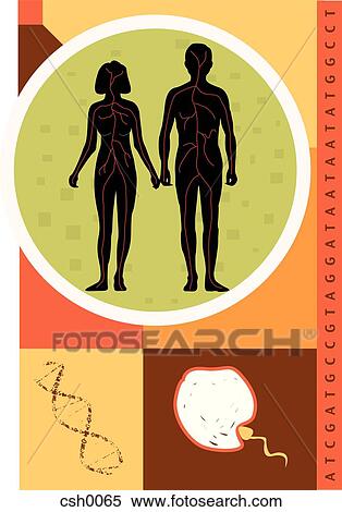 Reproduction View Large Illustration Stock Illustration - Reproduction. Fotosearch