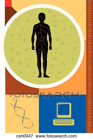 The Human Body View Large Illustration Stock Illustration - The Human Body. Fotosearch